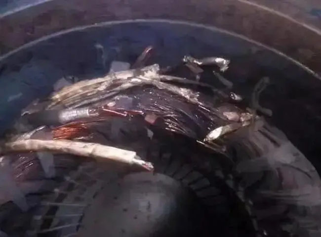 帶熱繼電器保護的電機頻繁燒毀的原因是什么？